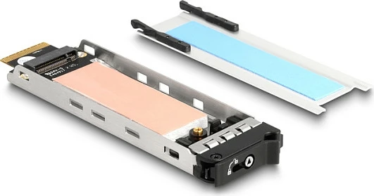 Kartë zgjerimi PCIe DeLOCK Mobile Rack, PCIe 4.0, për SSD M.2 NVMe, low profile, e zezë/metalike
