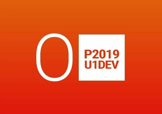 MS Office Professional 2019 Global