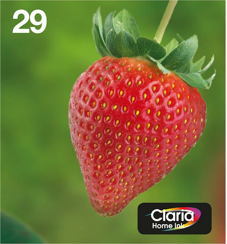 Kartusha boje Epson 29 Strawberry Claria Home Ink, multipack 4 (C13T29864511)