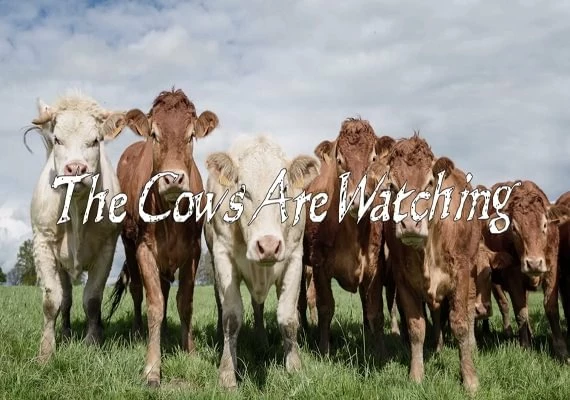 The Cows Are Watching EN/DE Global