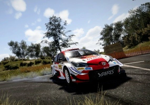WRC 10: FIA World Rally Championship Global