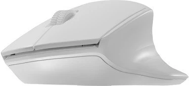 Maus Natec, Siskin 2, hiri