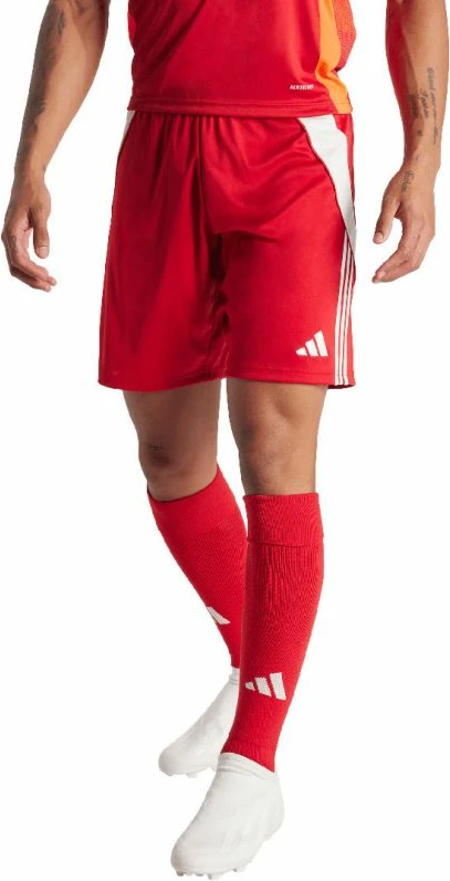 Shorce për meshkuj adidas, të kuqe [Madhësia: XL]