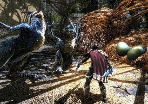 Kingdoms of Amalur: Re-Reckoning EN Global