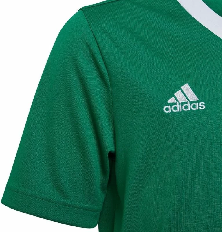 Fanellë Futbolli për Fëmijë adidas Entrada 22 Jersey, e Gjelbër [Madhësia: 116 cm]