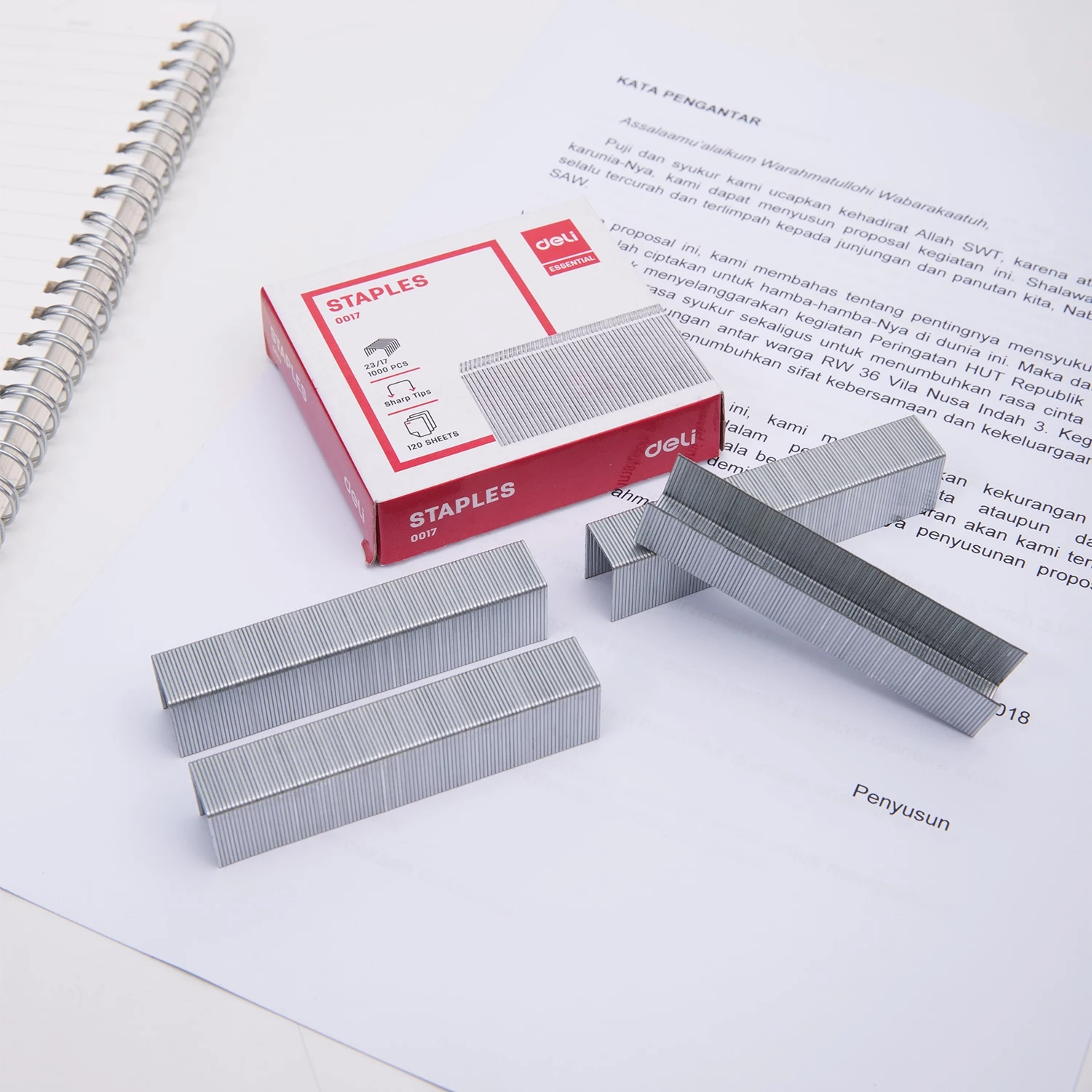 DELI MUNICION 23/17 0017 1/5