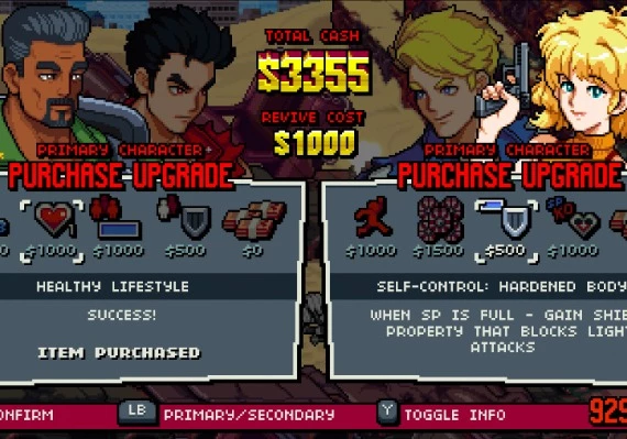 Double Dragon Gaiden: Rise of the Dragons Global