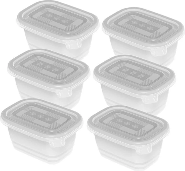 Enë për ngrirje Rotho Freeze, 6x250ml, Transparent