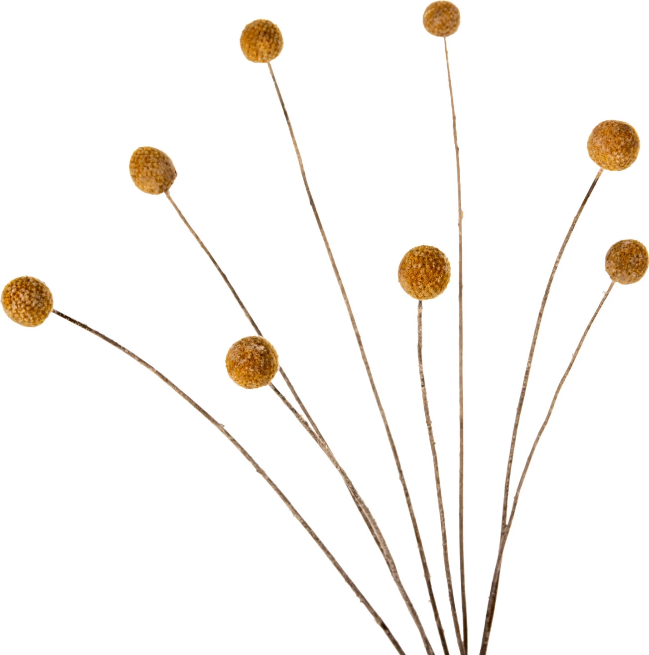 Buqetë dekorative e tharë Craspedia Globosa FH7956 e verdhë 63H cm