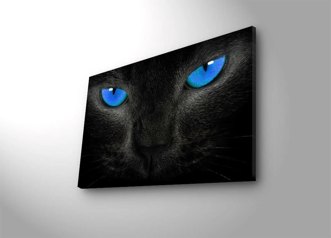 Pikturë dekorative me LED, kanavacë, mace me sy të kaltër, 45x70cm