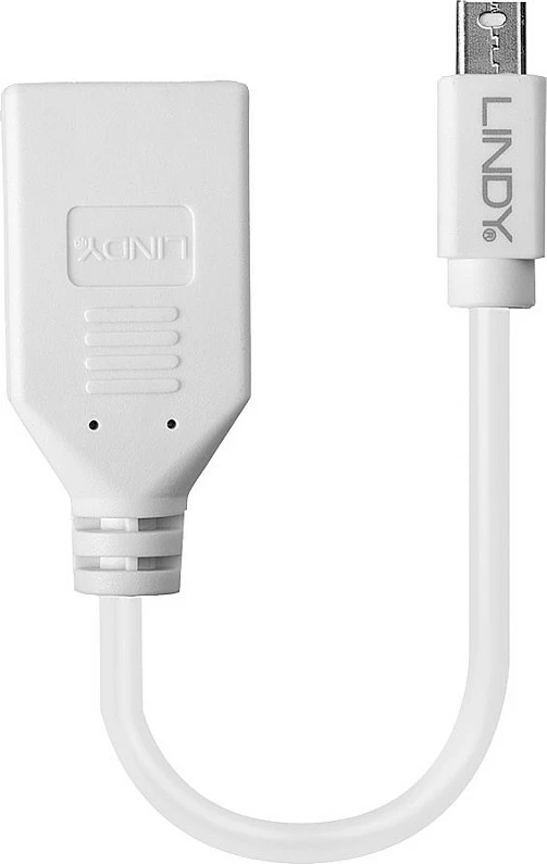 Kabllo adapter Mini DisplayPort në DisplayPort LINDY, 0.15 m, e bardhë