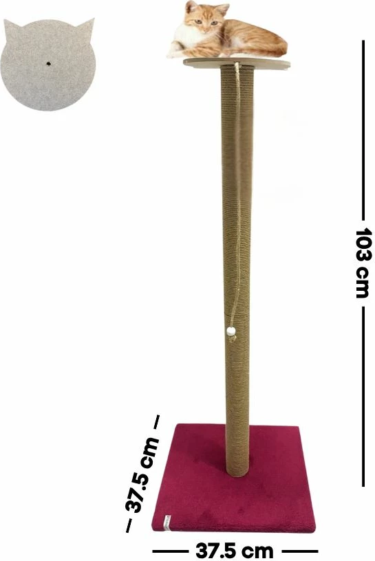 Dërrasë gërvishtëse për mace, Axel, ngjyrë fuchsia