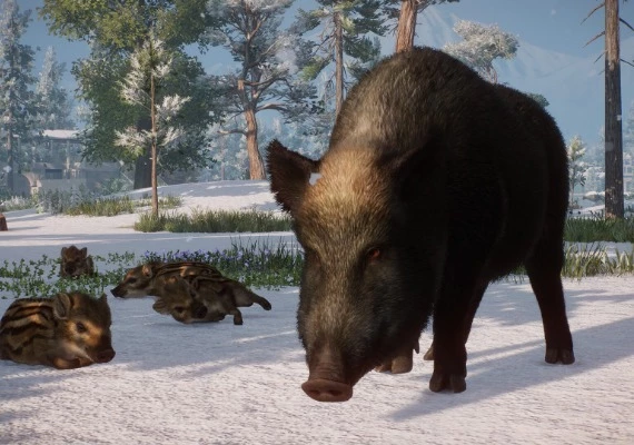 Planet Zoo - Eurasia Animal Pack DLC Global