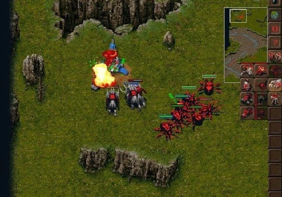 Krush Kill 'N Destroy Xtreme EN Global