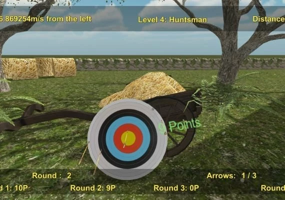 Precision Archery: Competitive EN Global