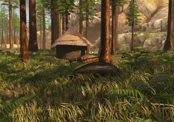 The Forest EN Global