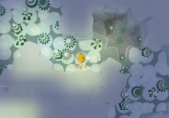 Unexplored EN Global
