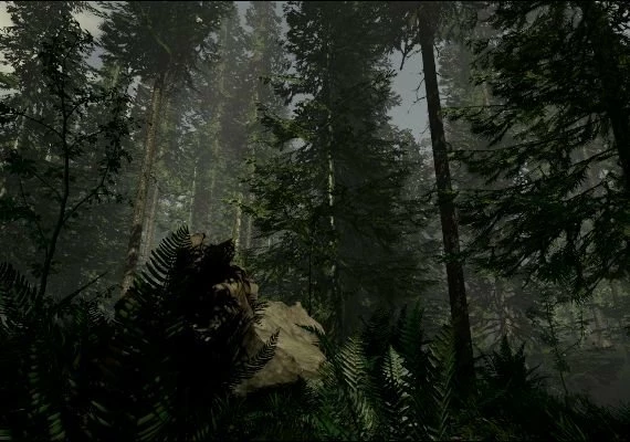 The Forest EN Global