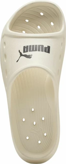 Flip-flop Puma Divecat Dry 404854 02