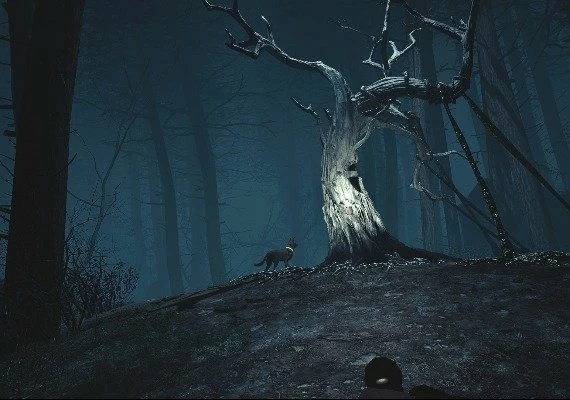 Blair Witch VR Global