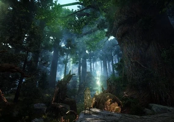 Black Desert - Special Gift Bundle 3 DLC EN Global