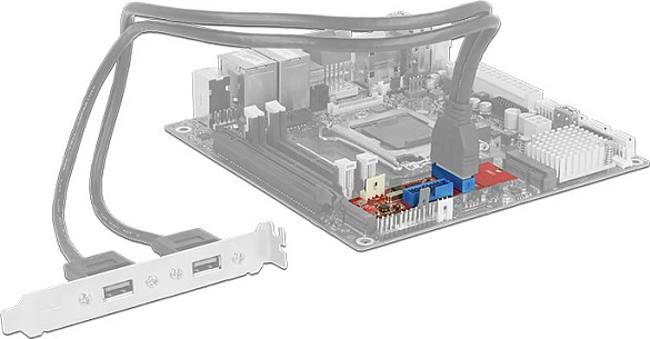Adapter M.2 në 2x USB 3.0 header DeLOCK 62843, 5 Gbit/s