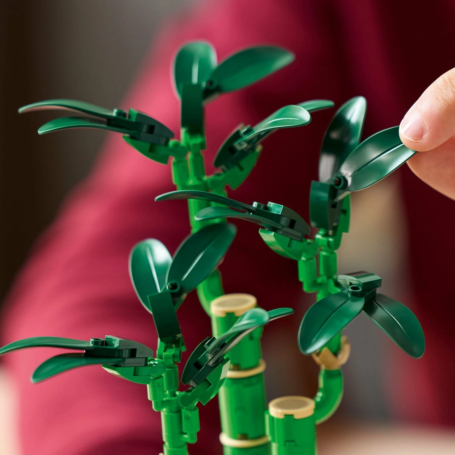 Set LEGO Botanicals 10344 Dracena sandera, 325 copë, 29 cm