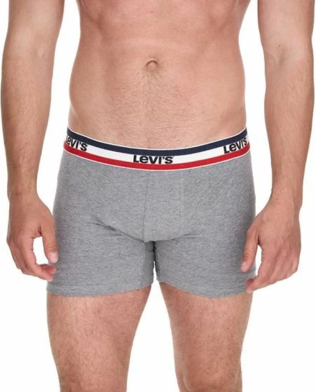 Të brendshme për meshkuj Levi's, multikolor