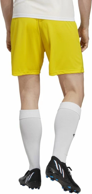 Shorce për meshkuj adidas Entrada 22, të verdha