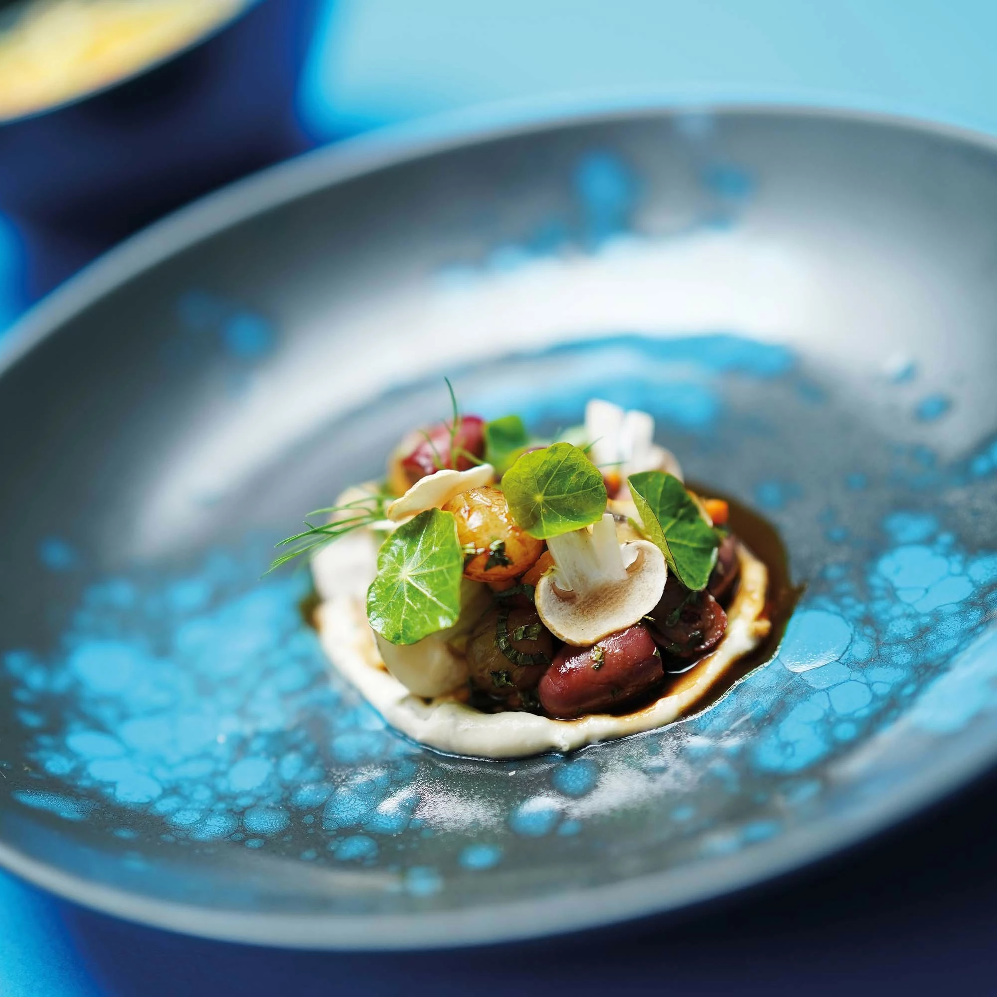 Filxhan cappuccino Fine Dine Flora 285ml, i zi me pika blu, set 6 copë