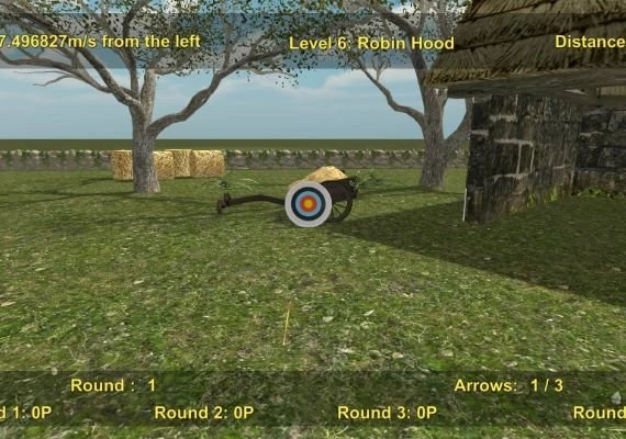 Precision Archery: Competitive EN Global