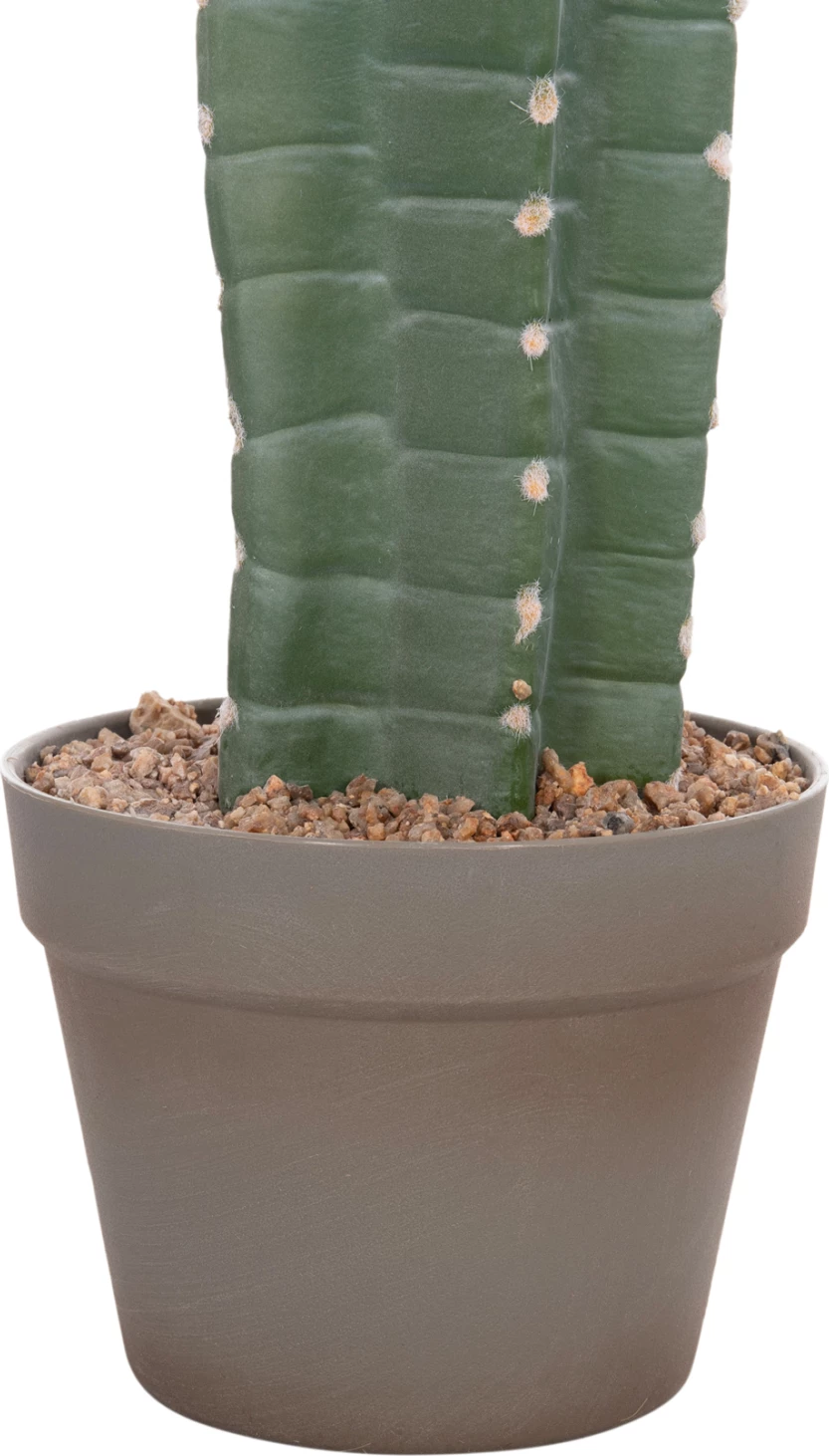 Bimë dekorative sintetike në vazo, lloj kaktusi, FH4742, 17.5x26x103cm