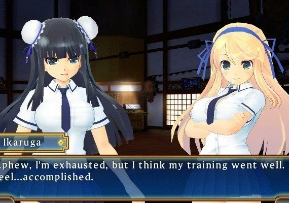 Senran Kagura: Shinovi Versus EN/JA Global