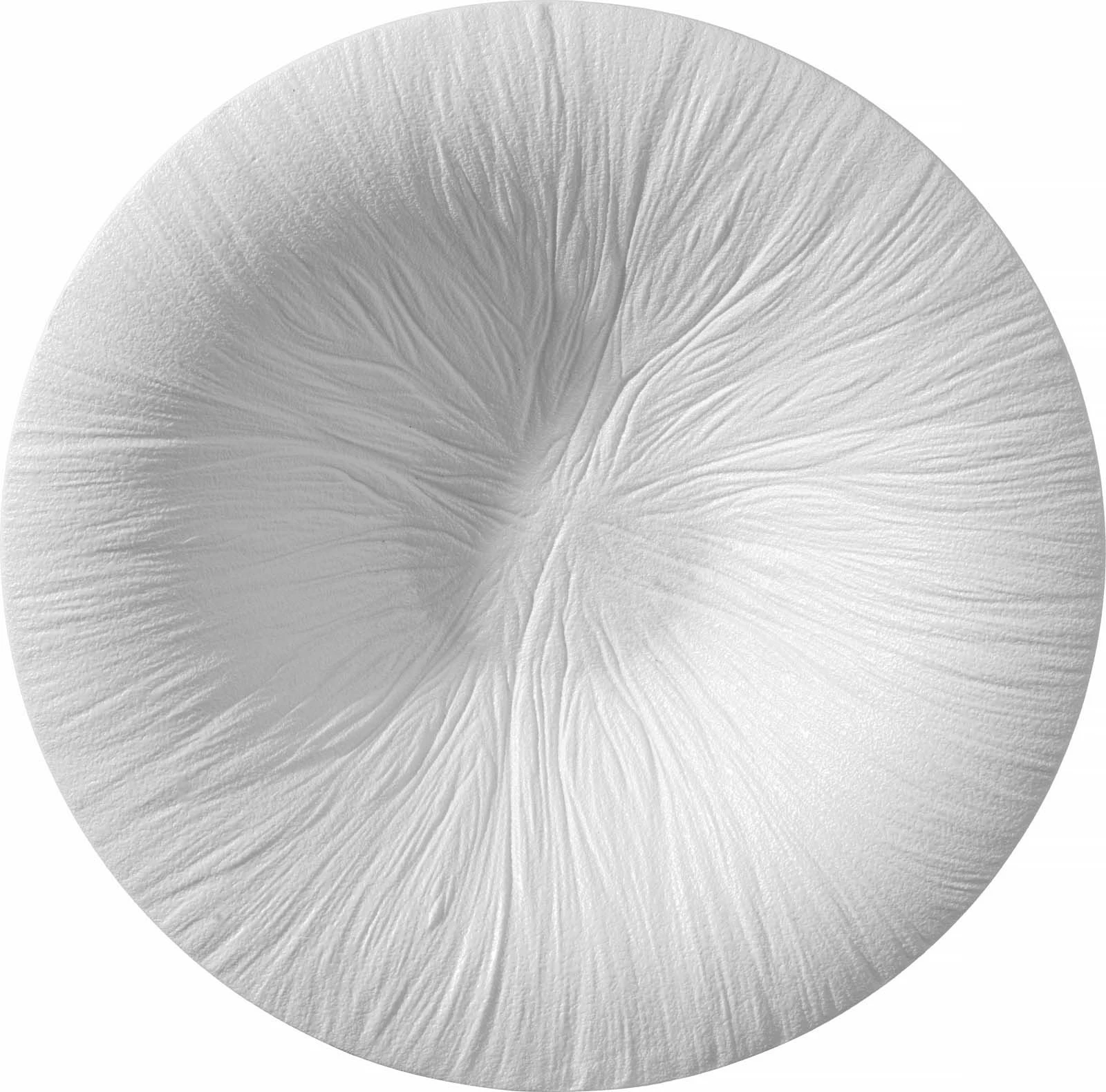 Pjatë për pasta Fine Dine Fiord Ø290mm, e bardhë, set 3 copë