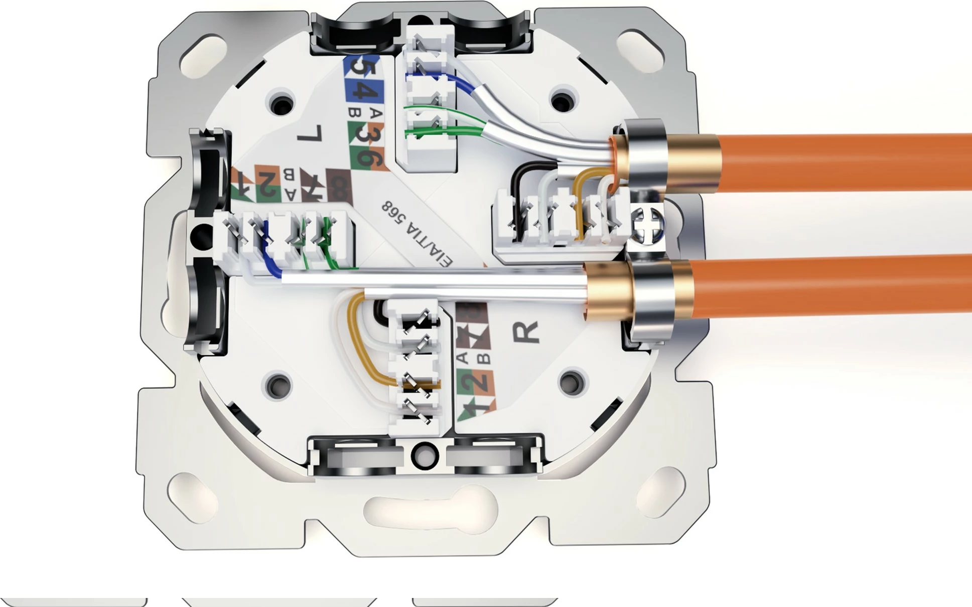 Prizë rrjeti Digitus CAT 6A EA, 2xRJ45, e bardhë