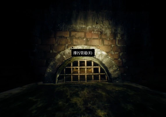 Below the Surface: Uncovering the Truth in the Sewers ZH Global