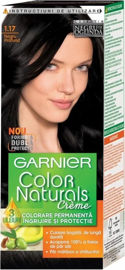 garnier 1