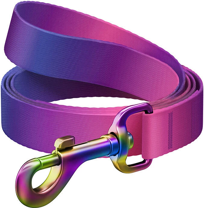 Mbajtëse qeni Waudog 46629, najlon gradient, 122 cm, 15 mm, vjollcë