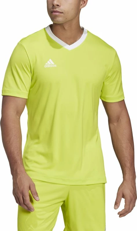 Maicë futbolli për meshkuj adidas, e gjelbër [Madhësia: XL]