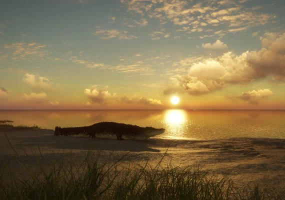 theHunter: Call of the Wild - Emerald Coast Australia DLC Global