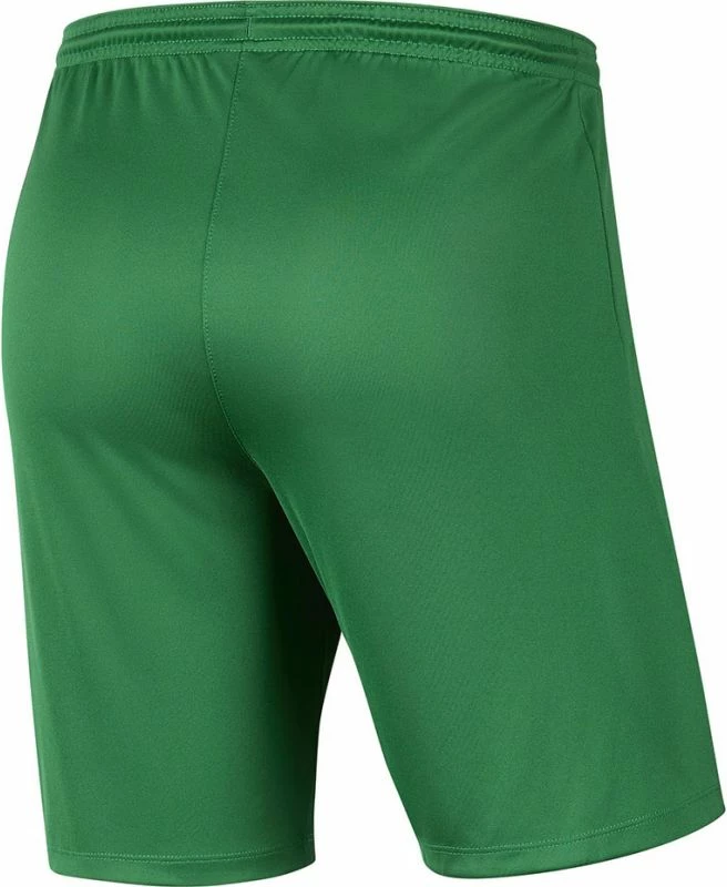 Shorce për meshkuj Nike, të gjelbërta