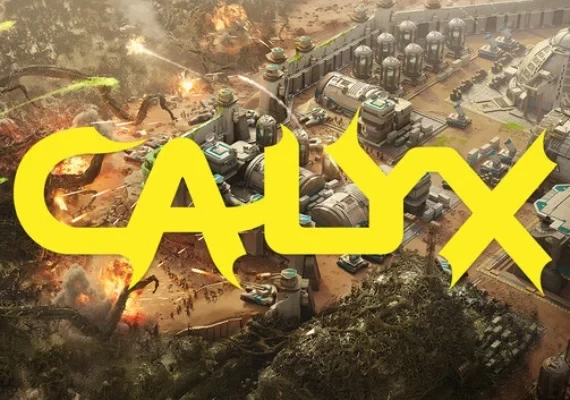 Calyx Global