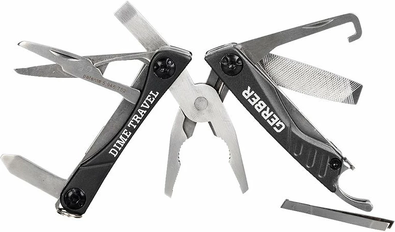 Dana Gerber, me shumë funksione, hirtë