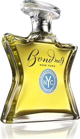Eau de Parfum për meshkuj Bond No. 9 Riverside Drive 100ml