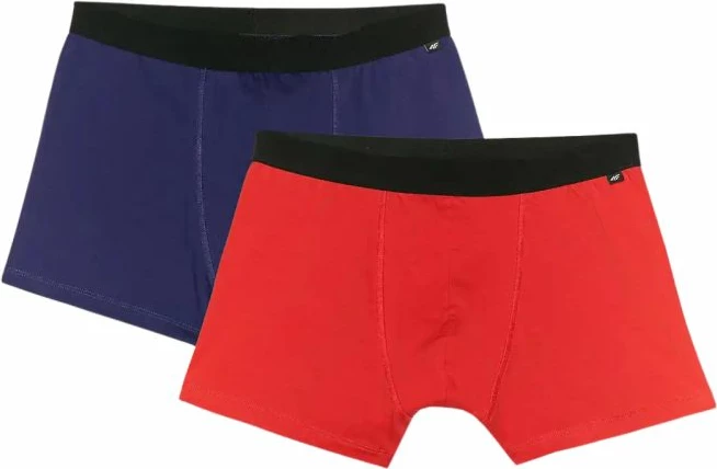 Të brendshme për meshkuj 4F, multicolor