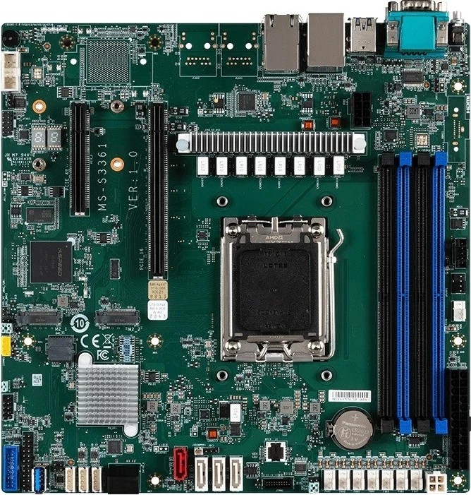 Pllakë amë MSI D3051GB2N-1G për server, micro ATX