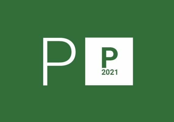 Project Professional 2021 for 5 PC EN Global