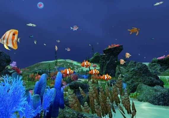 Fancy Fishing VR EN Global