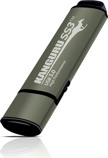 USB stick iStorage Kanguru SS3 32GB, gri