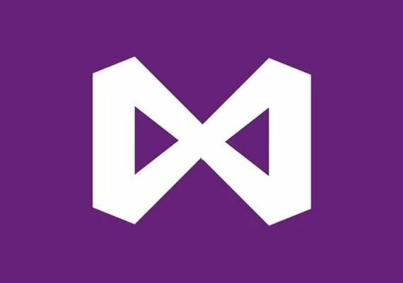 Visual Studio Professional 2022 EN Global